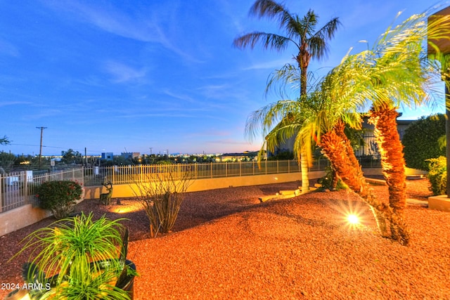 view of yard at dusk