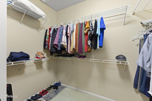 walk in closet featuring carpet