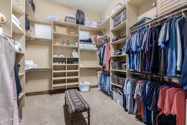 walk in closet with carpet floors