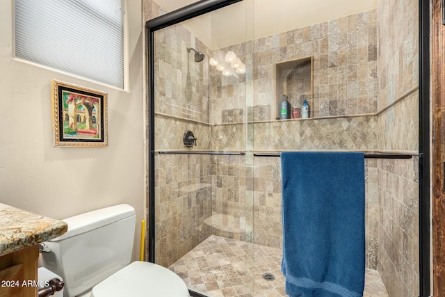 bathroom featuring vanity, toilet, and a shower with door