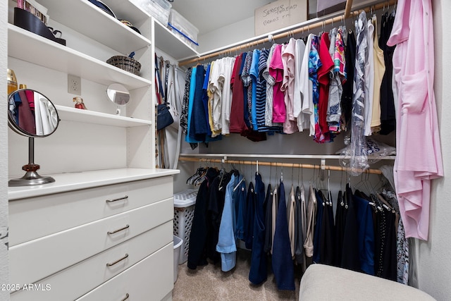 view of spacious closet