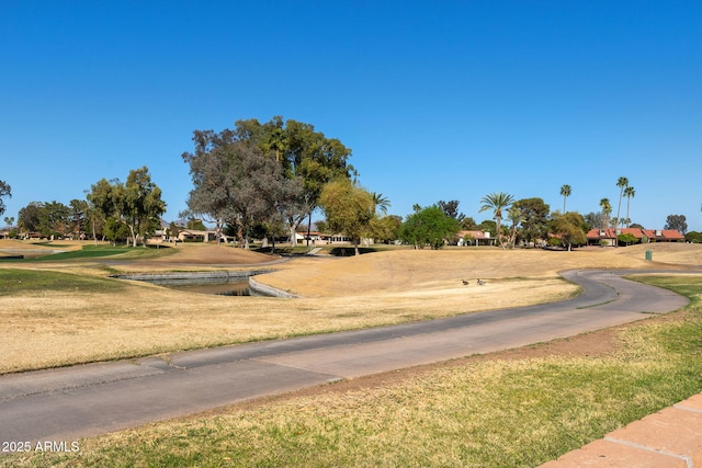 view of home's community with a yard