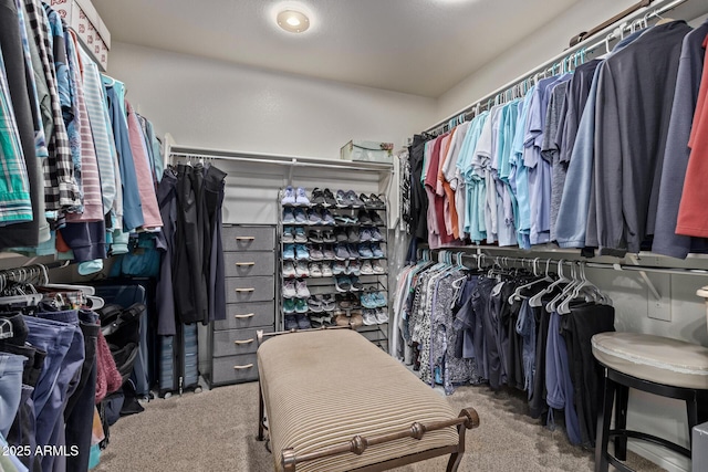 walk in closet featuring carpet flooring