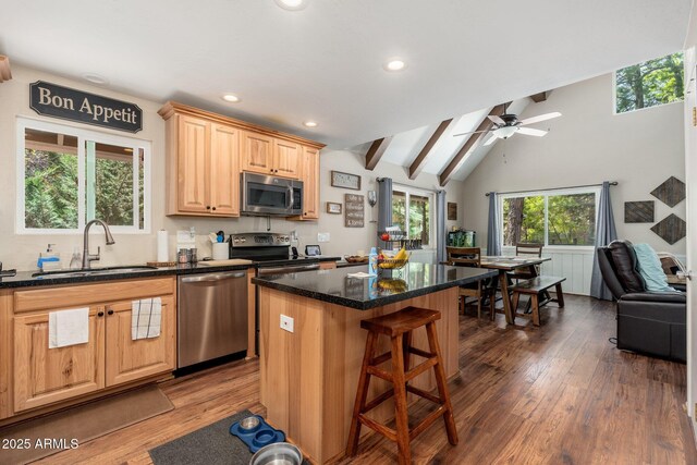 3971 N Apache Trl, Pine, AZ 85544 - kitchen featuring stainless steel appliances, a sink, dark wood-style floors, open floor plan, and a kitchen breakfast bar