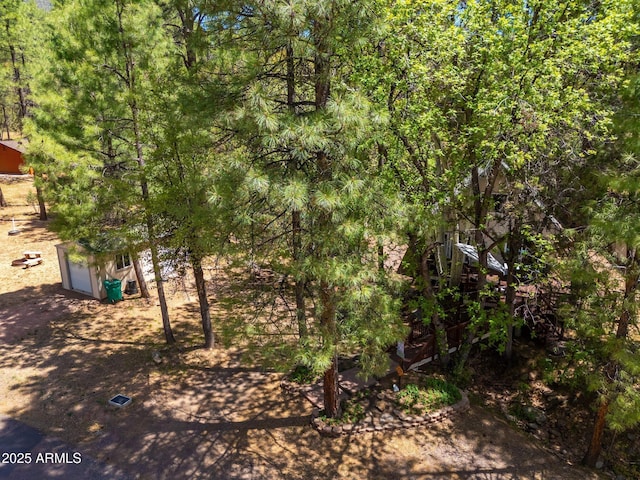 3971 N Apache Trl, Pine, AZ 85544 - view of yard featuring an outdoor structure and a garage