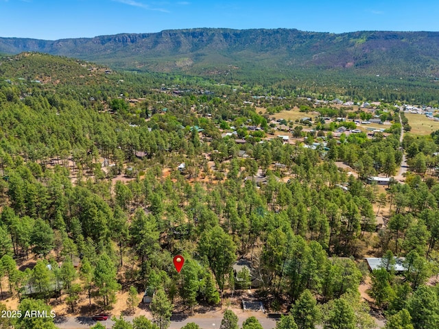 3971 N Apache Trl, Pine, AZ 85544 - aerial view of property's location with a mountain backdrop and a forest