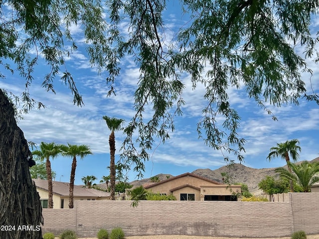 view of yard featuring a mountain view