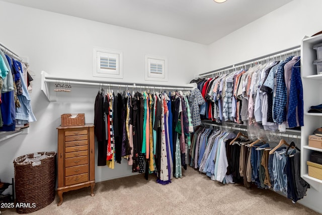 walk in closet featuring carpet