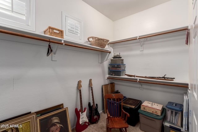 spacious closet with carpet