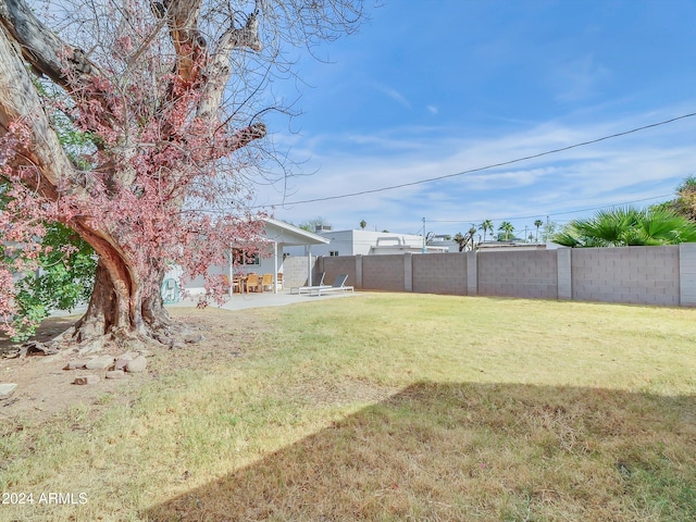 view of yard with a patio