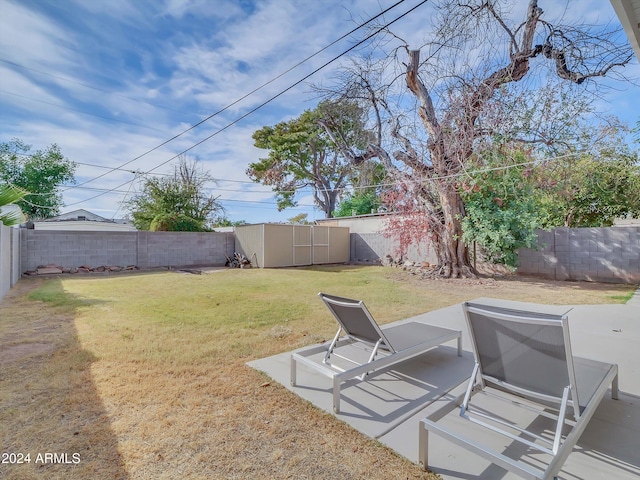 view of yard featuring a storage shed