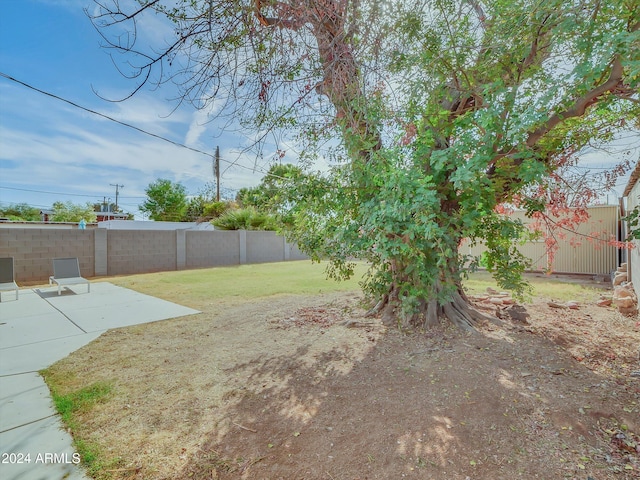 view of yard with a patio area