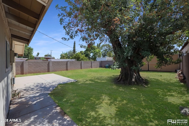 view of yard with a patio area