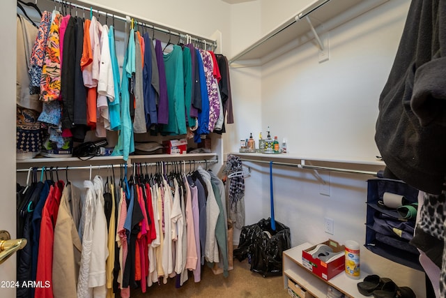 spacious closet featuring carpet flooring