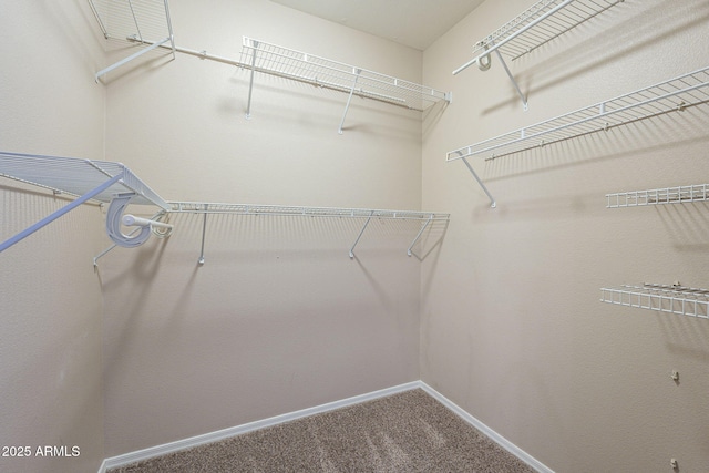 5345 E Van Buren St Unit 305, Phoenix, AZ 85008 - spacious closet featuring carpet floors