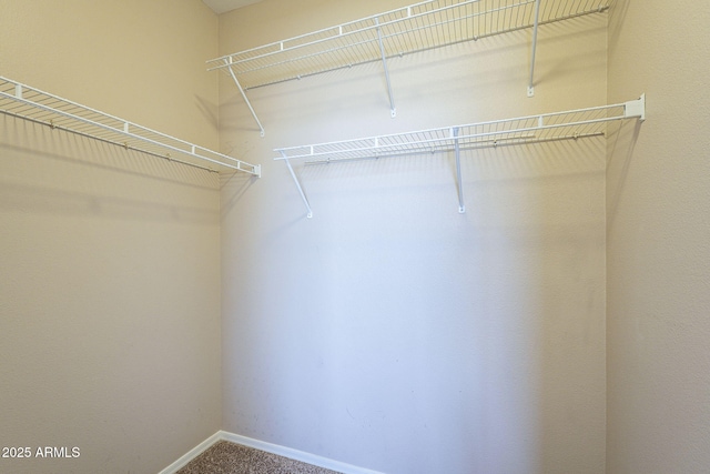 5345 E Van Buren St Unit 305, Phoenix, AZ 85008 - walk in closet with carpet floors