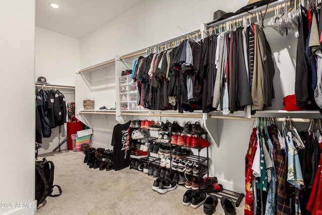 5314 N 182nd Ln, Litchfield Park, AZ 85340 - spacious closet featuring carpet flooring