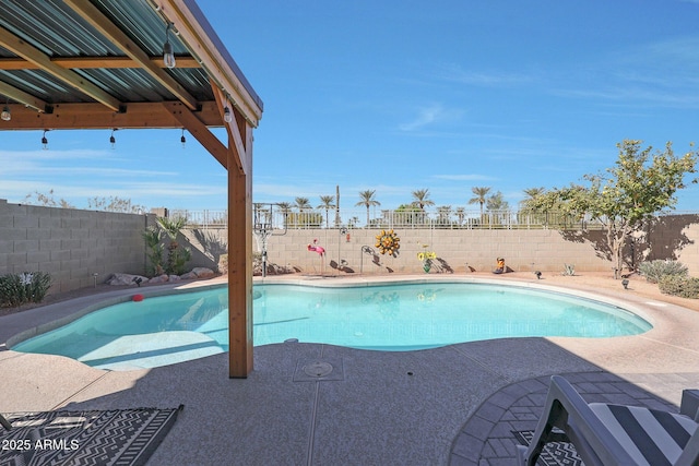 view of pool with a patio