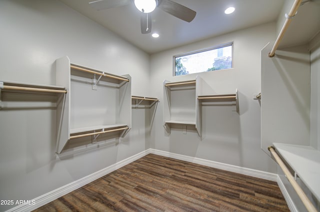 710 W Ardmore Rd, Phoenix, AZ 85041 - spacious closet with ceiling fan and wood finished floors