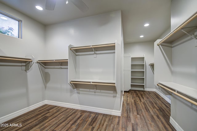 710 W Ardmore Rd, Phoenix, AZ 85041 - walk in closet with wood finished floors and a ceiling fan