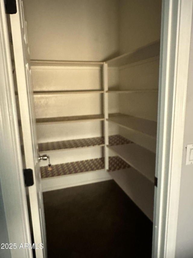 13259 W Flower St, Litchfield Park, AZ 85340 - view of pantry