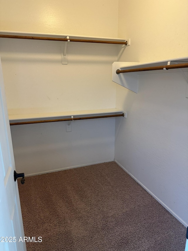13259 W Flower St, Litchfield Park, AZ 85340 - walk in closet featuring carpet floors