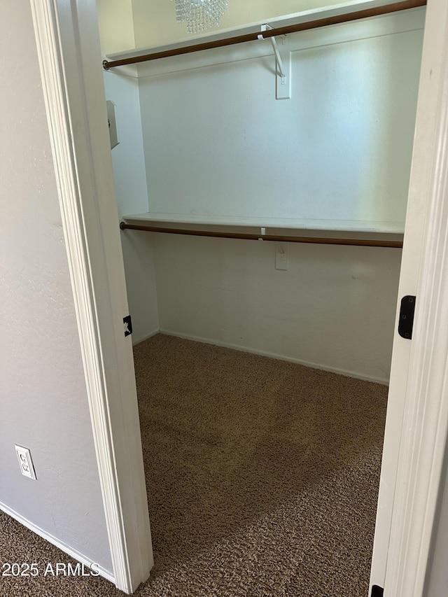 13259 W Flower St, Litchfield Park, AZ 85340 - walk in closet with carpet floors