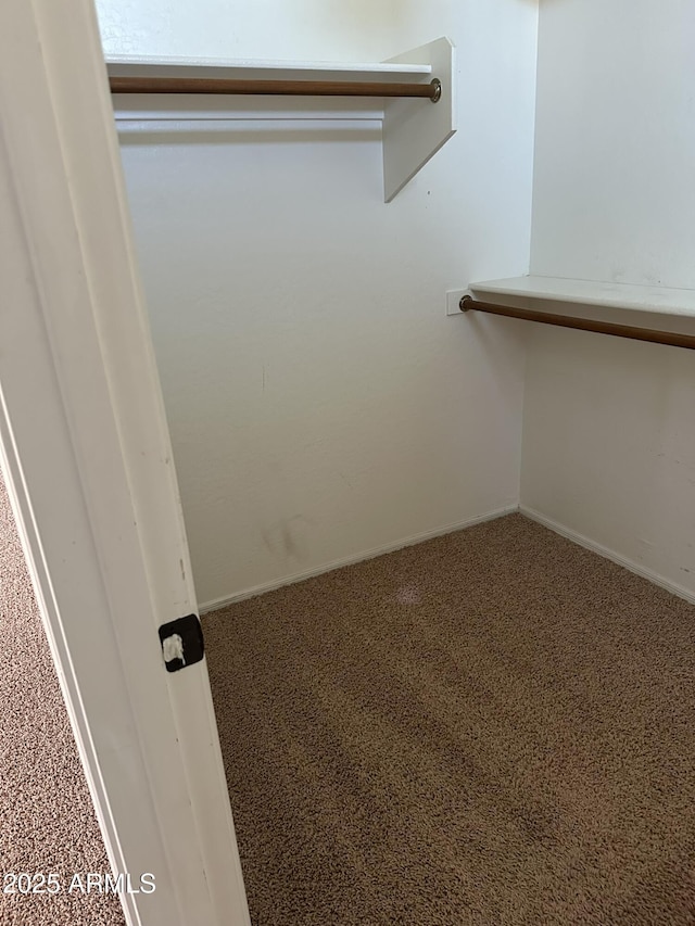 13259 W Flower St, Litchfield Park, AZ 85340 - spacious closet featuring carpet flooring