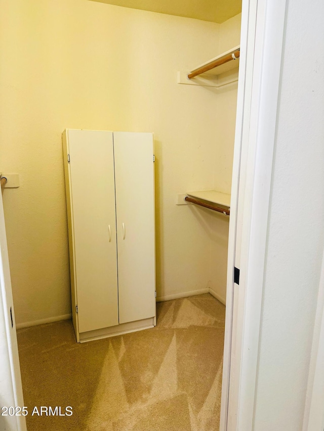 walk in closet featuring light colored carpet