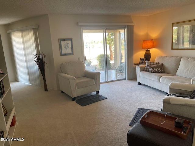 living area with light colored carpet and a textured ceiling