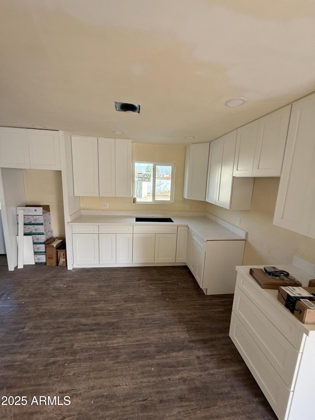 kitchen with dark wood-type flooring, sink, and white cabinets