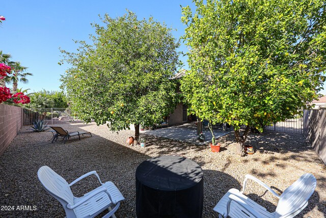 view of yard featuring a patio area