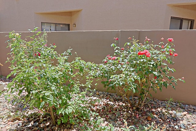 4039 E Paradise Dr, Phoenix, AZ 85028 - exterior view of fence and stucco siding