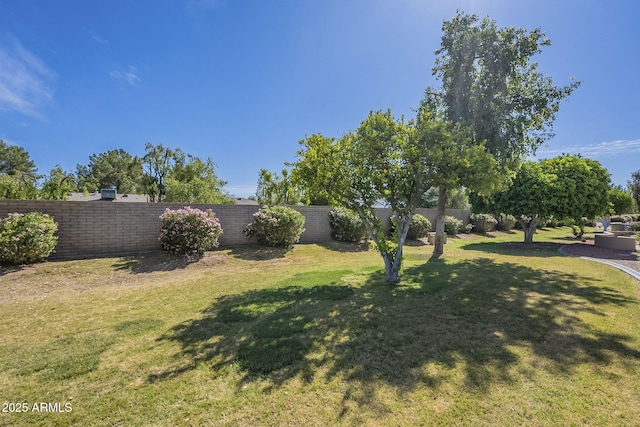 view of yard with a fenced backyard