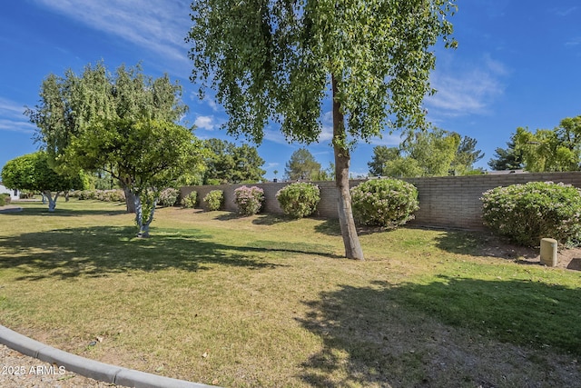 view of yard with a fenced backyard