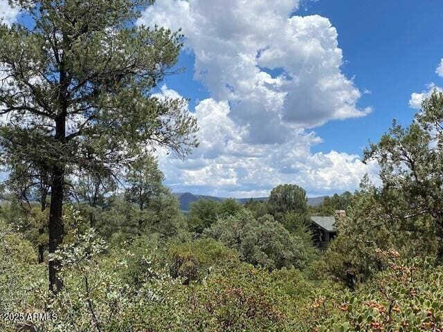 2316 E Blue Bell Cir Unit 142, Payson, AZ 85541