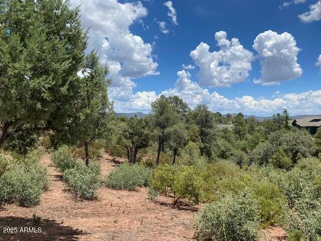 2316 E Blue Bell Cir Unit 142, Payson, AZ 85541