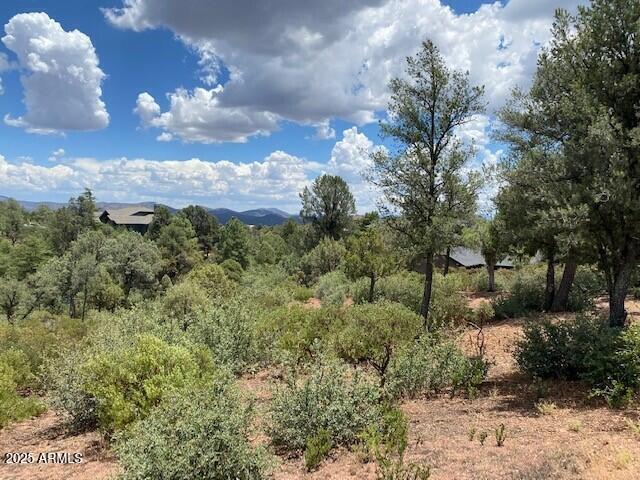 2316 E Blue Bell Cir Unit 142, Payson, AZ 85541