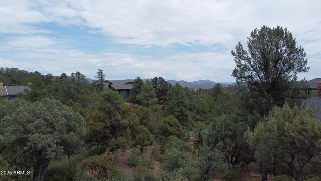2316 E Blue Bell Cir Unit 142, Payson, AZ 85541