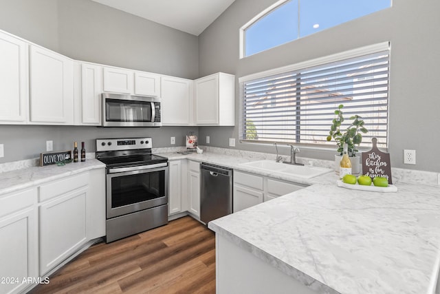 kitchen with high vaulted ceiling, sink, dark hardwood / wood-style floors, appliances with stainless steel finishes, and white cabinetry