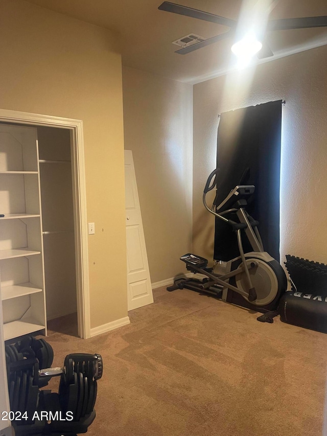 exercise room featuring carpet flooring