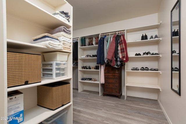 spacious closet featuring wood-type flooring