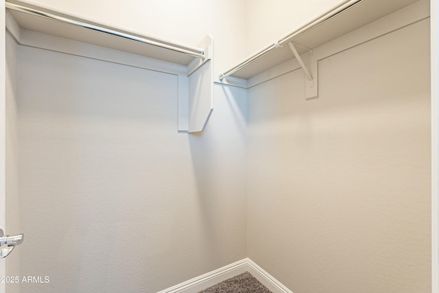 spacious closet with carpet