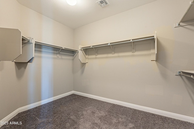 spacious closet with visible vents and carpet flooring