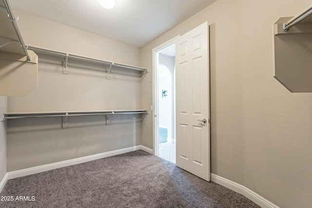 spacious closet featuring carpet