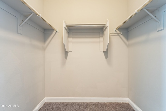 walk in closet with carpet floors