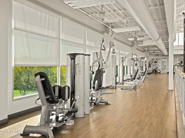 exercise room with wood finished floors