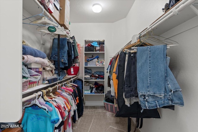 22912 E Domingo Rd, Queen Creek, AZ 85142 - spacious closet with carpet floors
