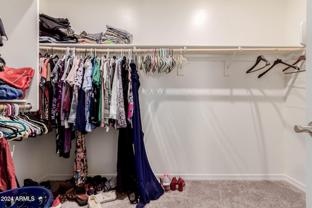 spacious closet with carpet