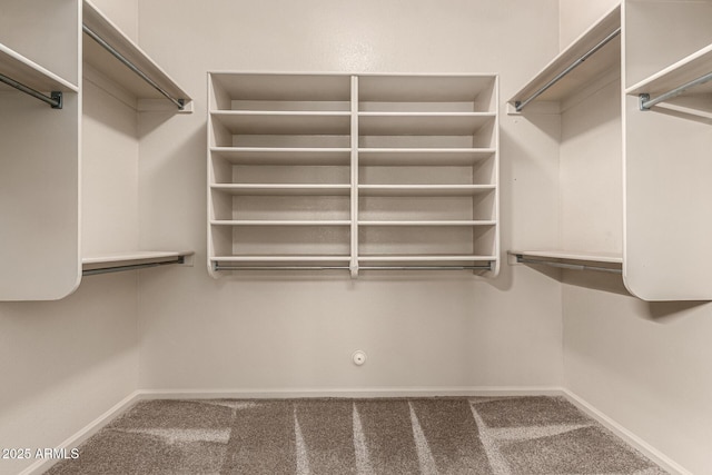 3028 W Parkside Ln, Phoenix, AZ 85027 - spacious closet with carpet flooring